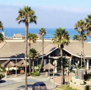 {{brizy_dc_image_alt imageSrc=