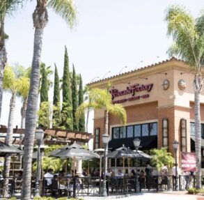 {{brizy_dc_image_alt imageSrc=